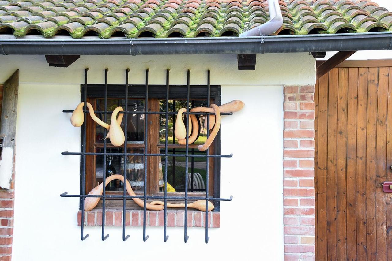 Casa Zafferano Guest House Albenga Ngoại thất bức ảnh